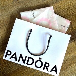 Pandora Gift Bag
